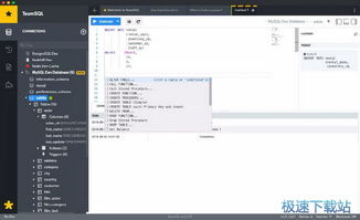 SQL數(shù)據(jù)庫查詢工具下載與計算機(jī)軟件咨詢指南